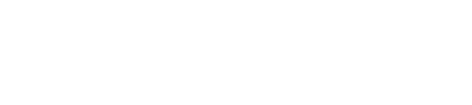 European Union Logo